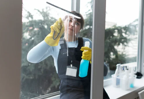 Nettoyage de vitres intérieures et extérieures à Domats